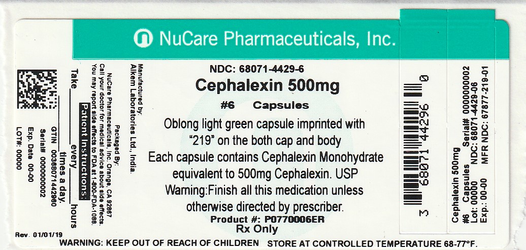 Cephalexin